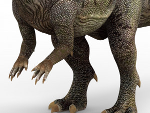pachycephalosaurus dinosaur 3D Model