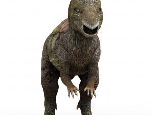 pachycephalosaurus dinosaur 3D Model