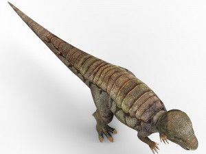 pachycephalosaurus dinosaur 3D Model