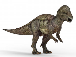 pachycephalosaurus dinosaur 3D Model