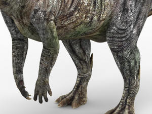 parasaurolophus dinosaur 3D Model