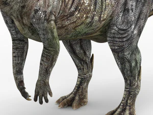 parasaurolophus dinosaur 3D Model