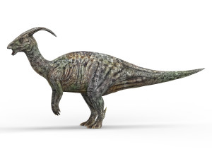 parasaurolophus dinosaur 3D Model