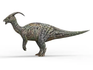 parasaurolophus dinosaur 3D Model