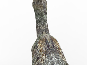 parasaurolophus dinosaur 3D Model