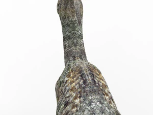 parasaurolophus dinosaur 3D Model