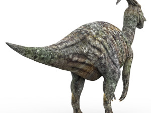 parasaurolophus dinosaur 3D Model