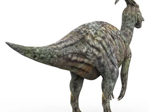 parasaurolophus dinosaur 3D Model