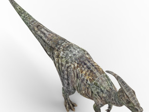 parasaurolophus dinosaur 3D Model