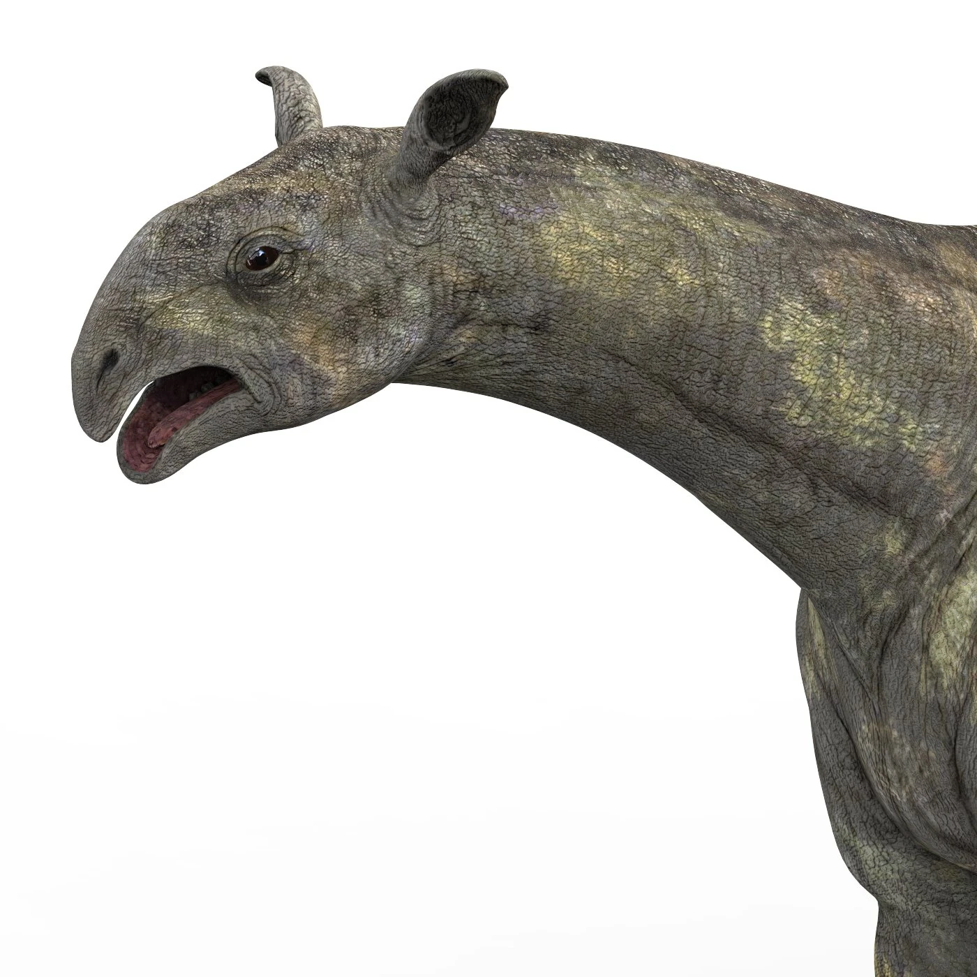 paraceratherium dinosaur 3D Model .c4d .max .obj .3ds .fbx .stl .blend 