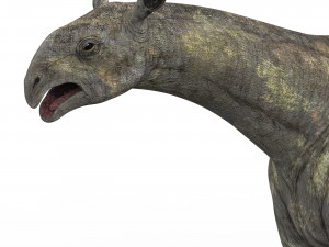 paraceratherium dinosaur 3D 模型