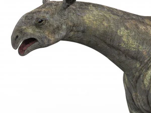 dinosauro paraceraterio Modello 3D