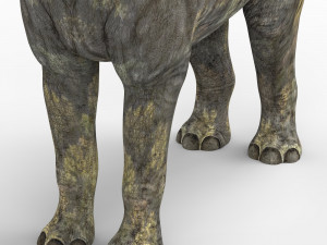 paraceratherium dinosaur Model 3D
