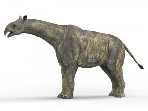 paraceratherium dinosaur Model 3D