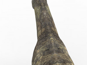 paraceratherium dinosaur Model 3D