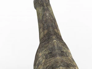 paraceratherium dinosaur 3D Model