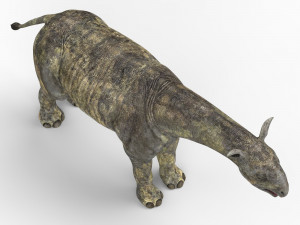 paraceratherium dinosaur Model 3D