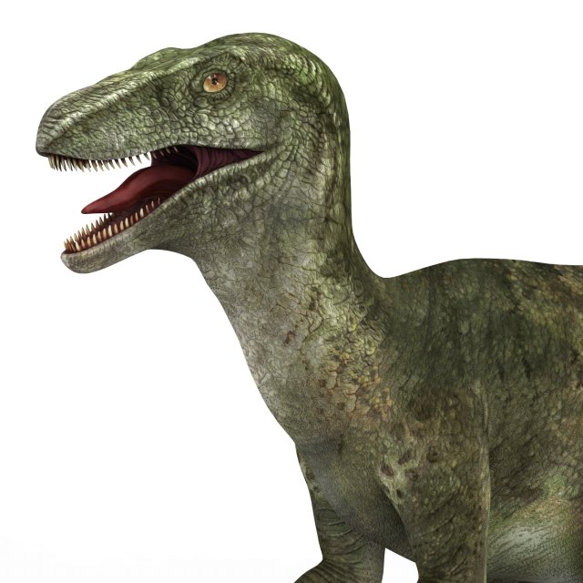 velociraptor dinosaur 3D मॉडल .c4d .max .obj .3ds .fbx .stl .blend 