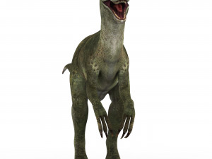 velociraptor dinosaur 3D मॉडल