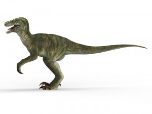 velociraptor dinosaur 3D मॉडल