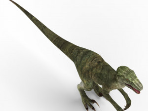 velociraptor dinosaur 3D मॉडल