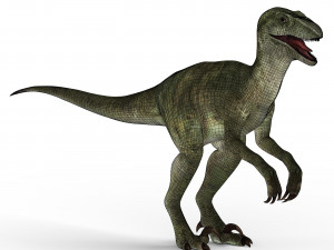 velociraptor dinosaur 3D मॉडल