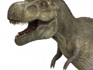 tyrannosaurus dinosaur 3D Model