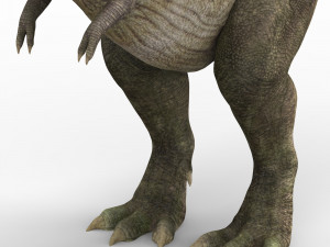 tyrannosaurus dinosaur 3D Model