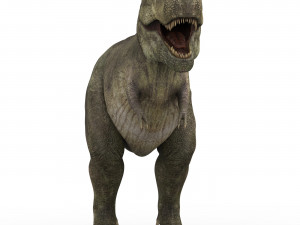 tyrannosaurus dinosaur 3D Model