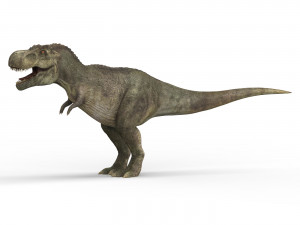 tyrannosaurus dinosaur 3D Model