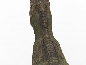 tyrannosaurus dinosaur 3D Model