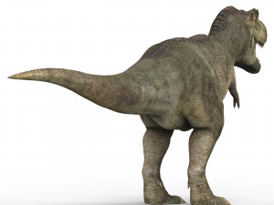 tyrannosaurus dinosaur 3D Model