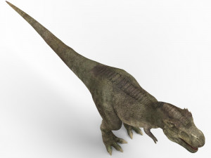 tyrannosaurus dinosaur 3D Model