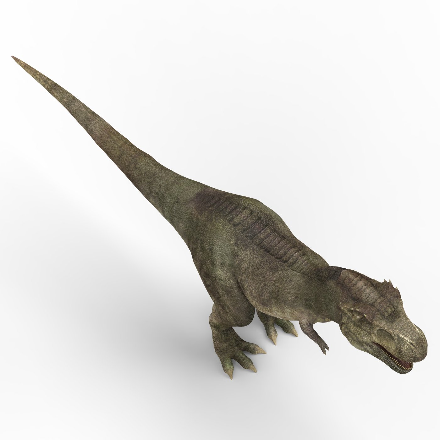 game ready dinosaur trex 3D Model in Dinosaur 3DExport