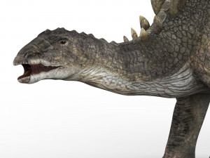 stegosaurus dinosaur 3D Model