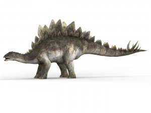 스테고사우루스 공룡 3D 모델