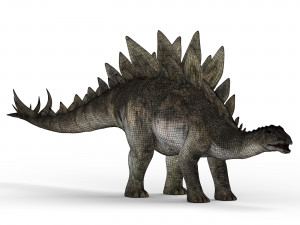 stegosaurus dinosaur Modello 3D