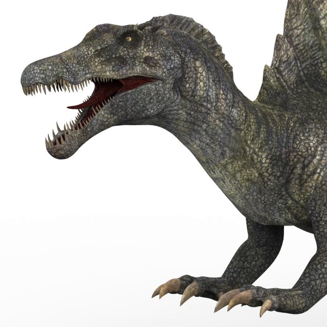 spinosaurus dinosaur 3D मॉडल .c4d .max .obj .3ds .fbx .stl .blend 