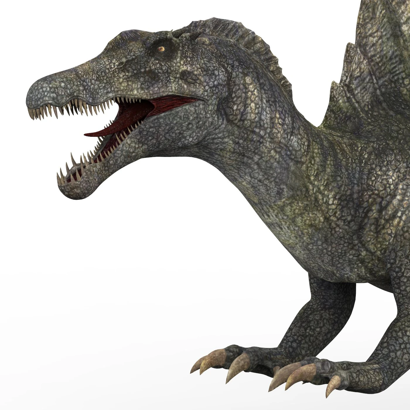 spinosaurus dinosaur 3D Model .c4d .max .obj .3ds .fbx .stl .blend 