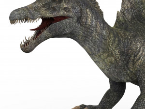 spinosaurus dinosaur 3D 模型