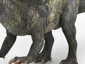 spinosaurus dinosaur 3D मॉडल