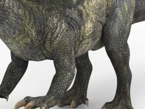 spinosaurus dinosaur 3D Model