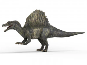 spinosaurus dinosaur 3D Model