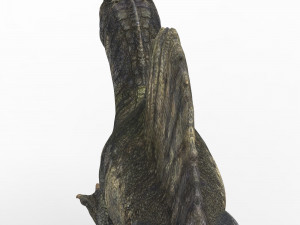 spinosaurus dinosaur 3D मॉडल