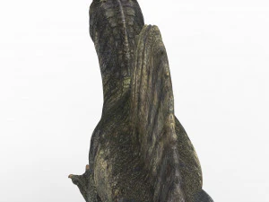 spinosaurus dinosaur 3D Model