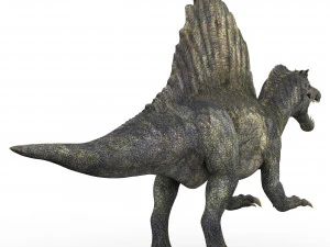 spinosaurus dinosaur 3D Model