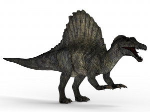 spinosaurus dinosaur 3D मॉडल