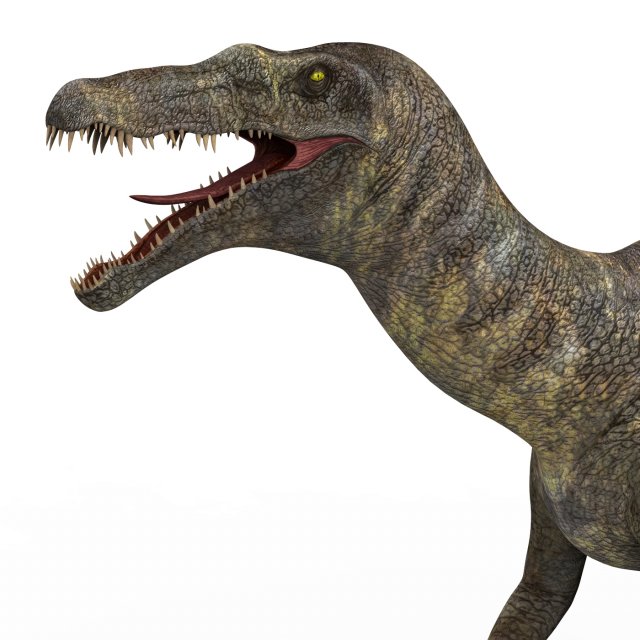 baryonyx dinosaur 3D 模型 .c4d .max .obj .3ds .fbx .stl .blend 