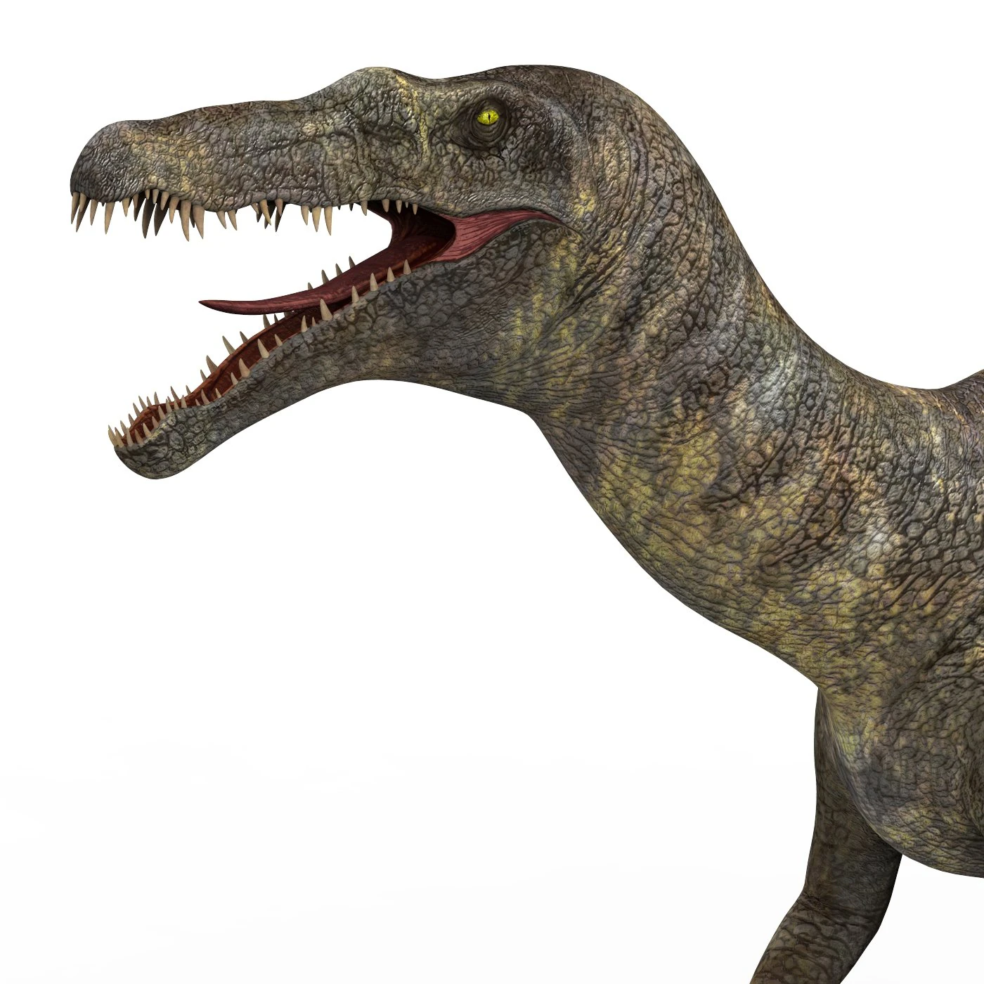 baryonyx dinosaur 3D Model .c4d .max .obj .3ds .fbx .stl .blend 