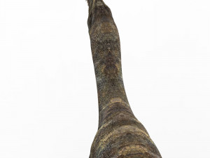 baryonyx dinosaur 3D 模型